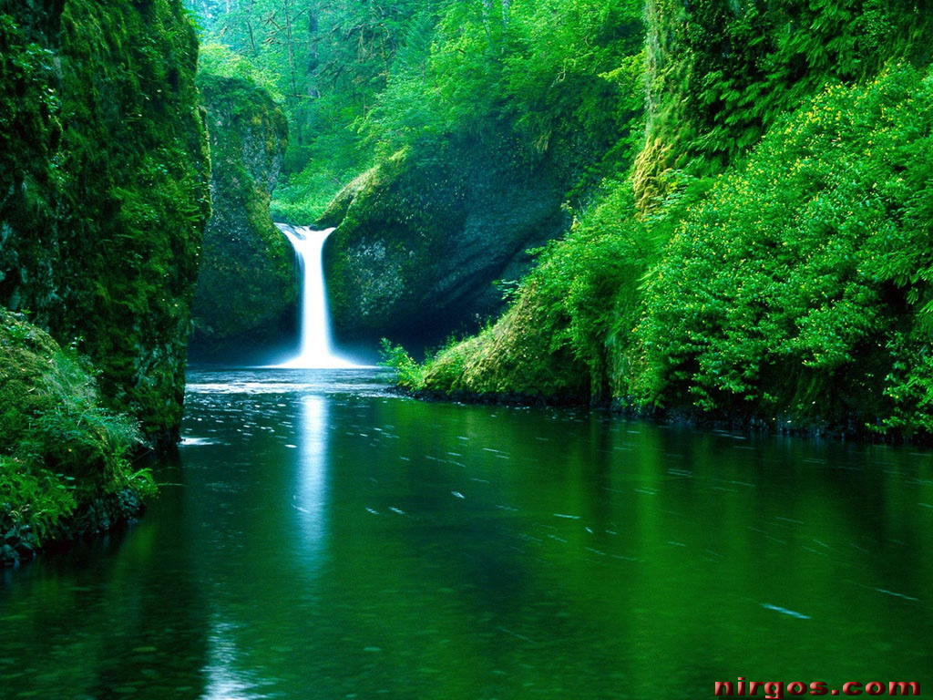 A serene waterfall cascading into a crystal-clear pool in a lush green forest
