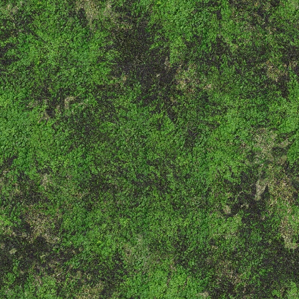 Grass Green Textures Wallpaper