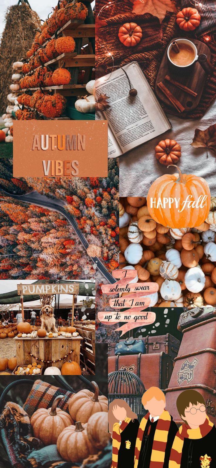 Amanda Thompson On Spooky Season In iPhone Wallpaper