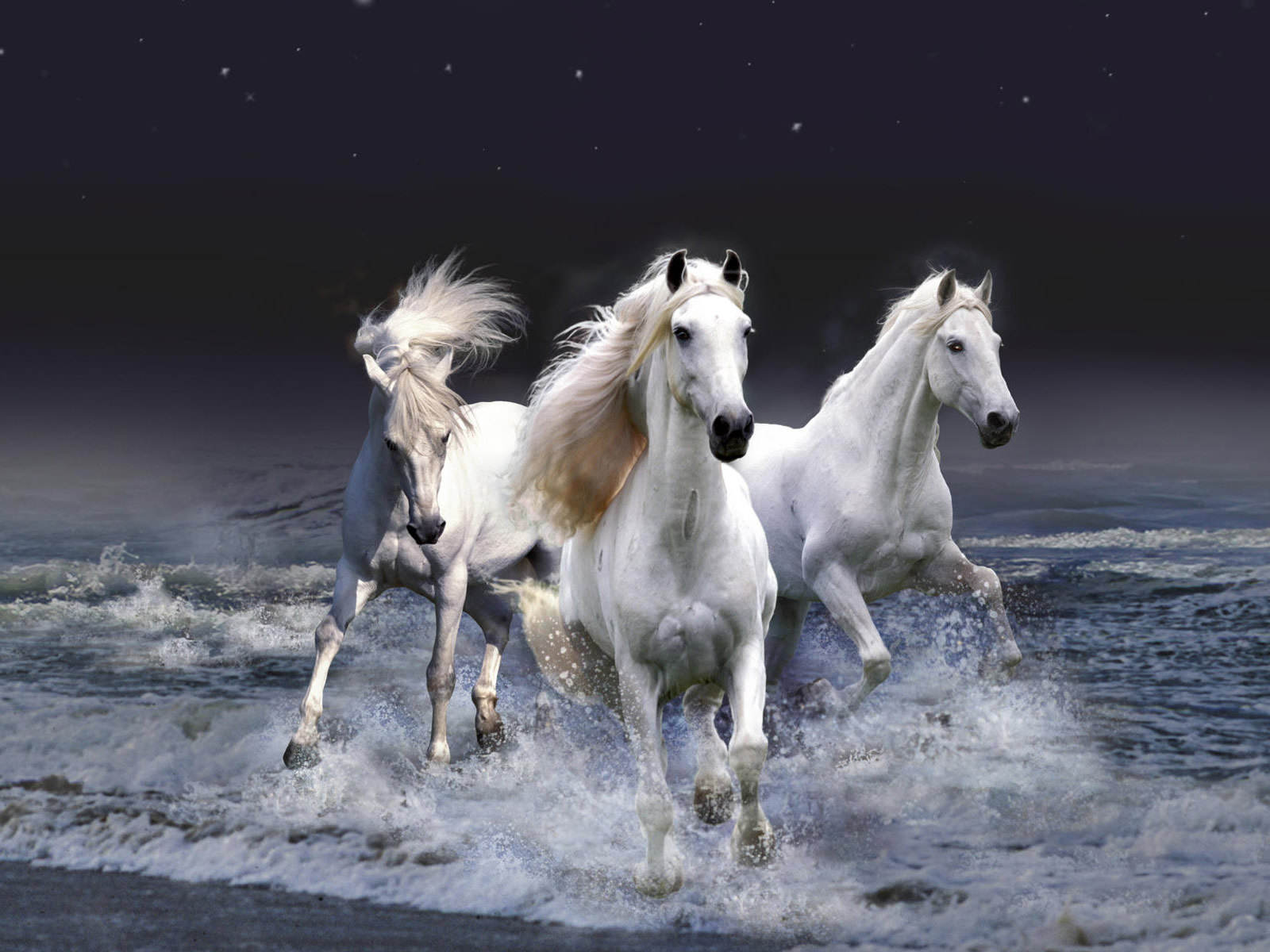 Three White Horses Galloping Through Ocean Waves at Night