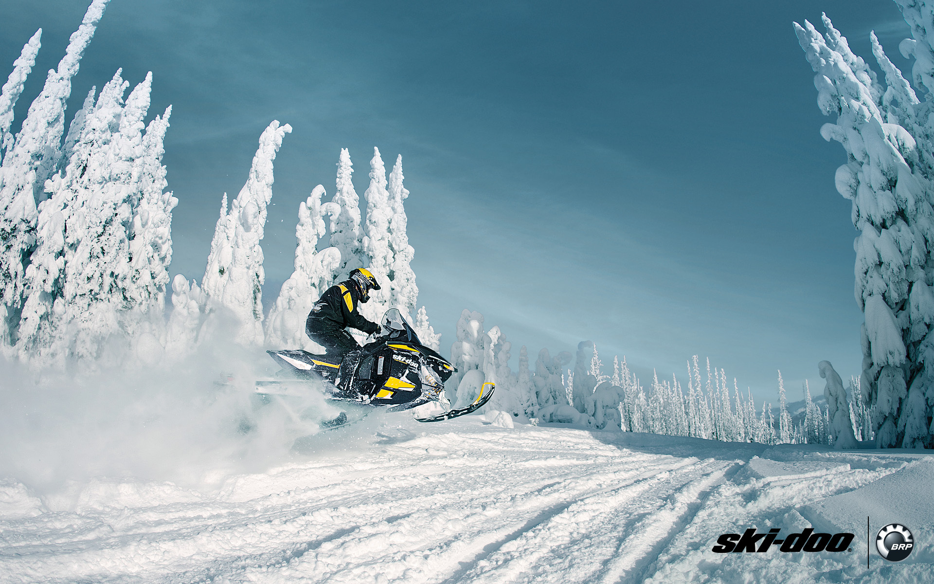 Snowmobile Brp Snow Sport Forest Wallpaper Photos