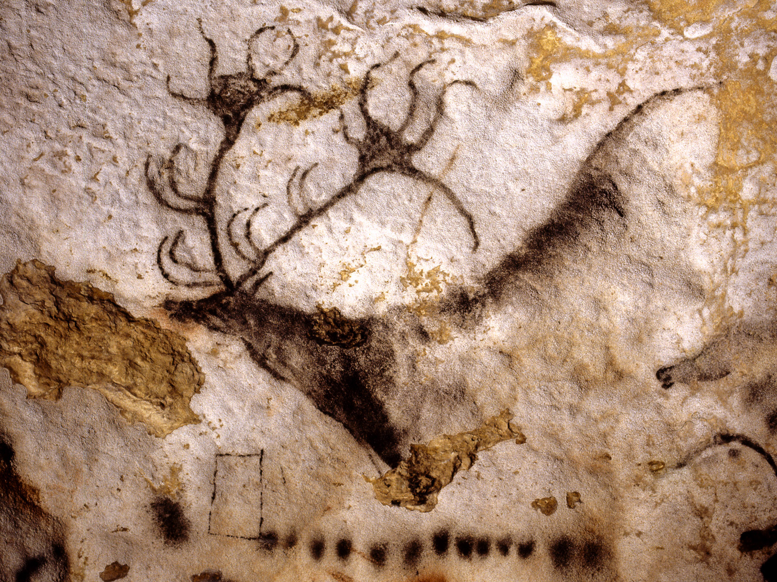 The Lascaux Ancient Cave Paintings