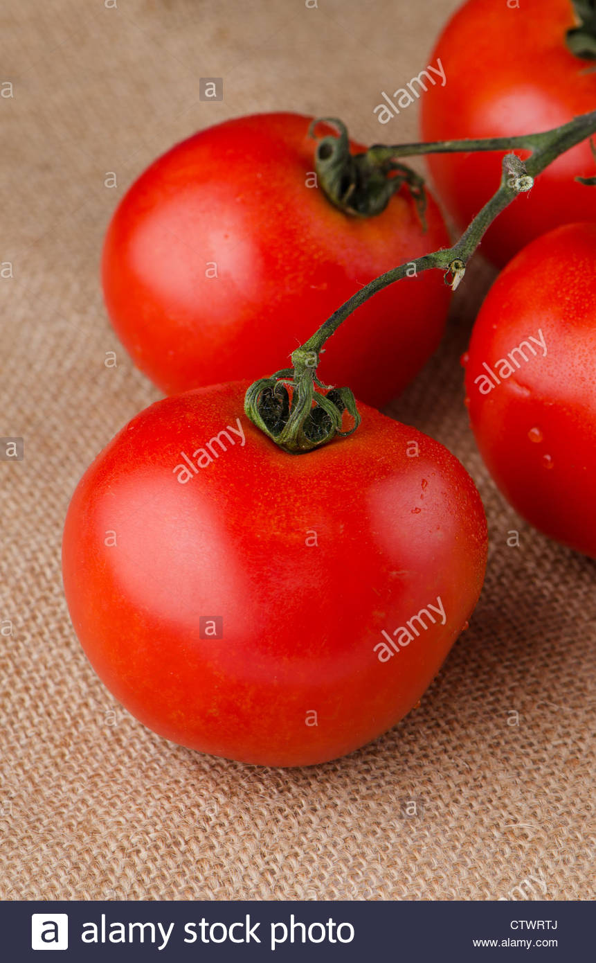 Cherry Tomatoes On The Vine Over Raffia Background Stock Photo
