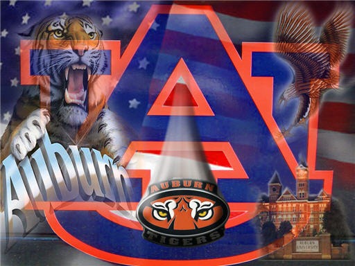 Hd Wallpapers Auburn Tigers Logo 1024 X 768 98 Kb Jpeg HD Wallpapers 512x384