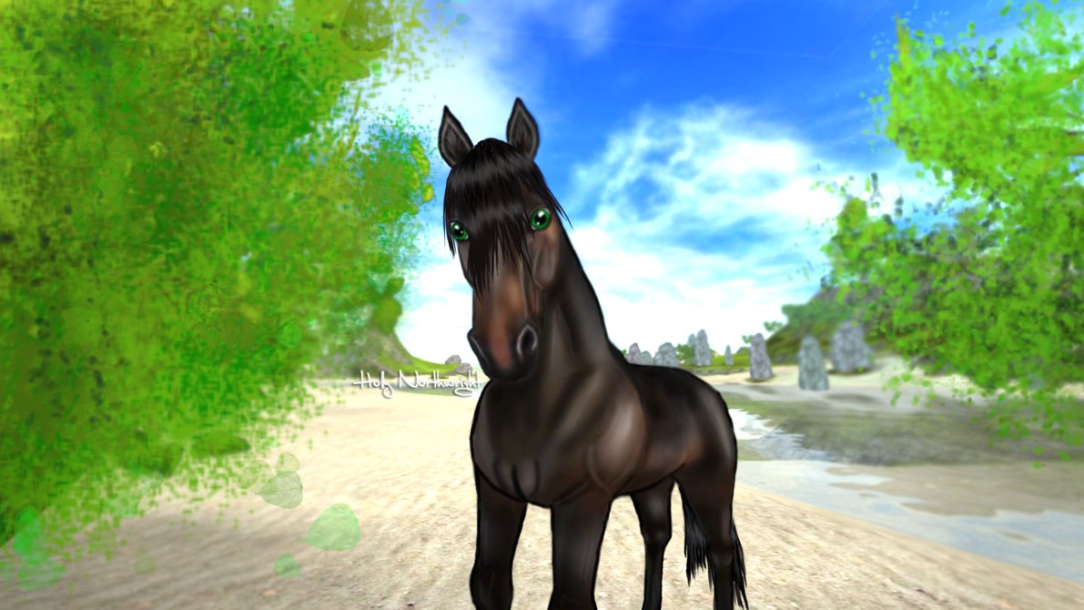 Star Stable Morgan Horse Edit By Hollynorthwrightsso