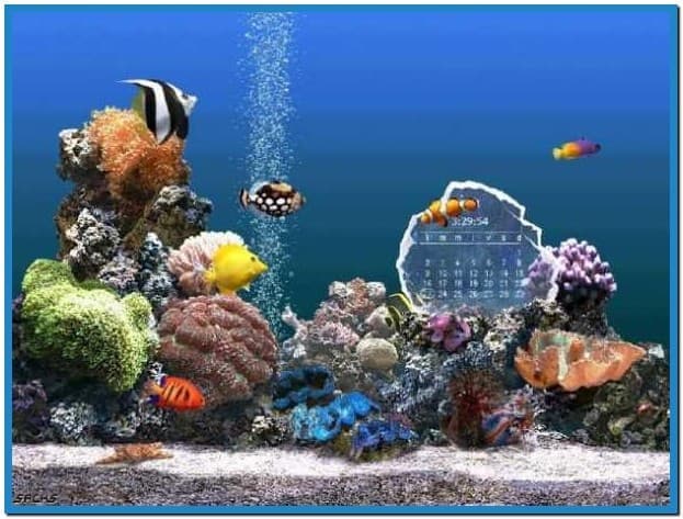 Marine Aquarium Screensaver