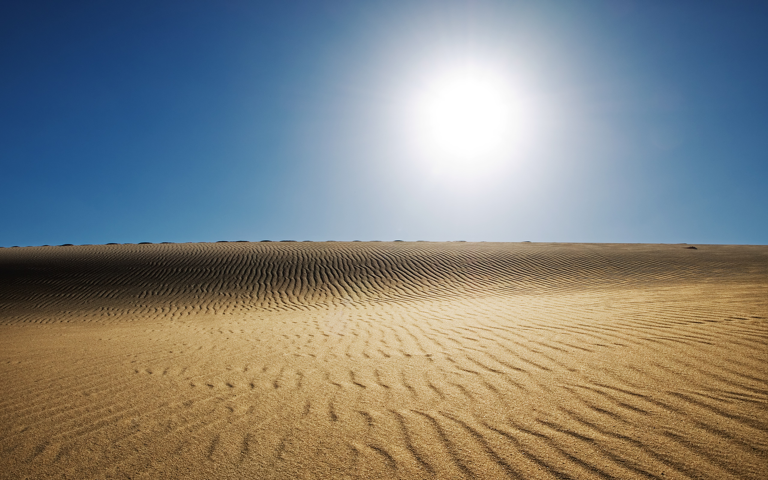 Sunny Desert Wallpaper HD