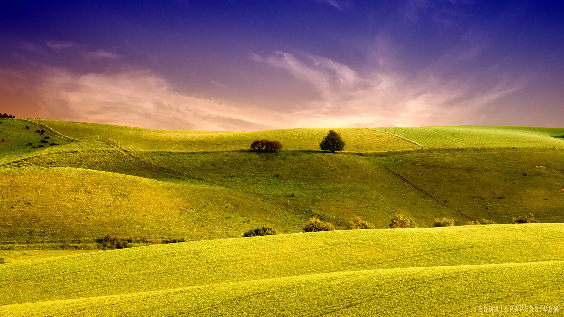 Beautiful Landscape Wallpaper Background In HD