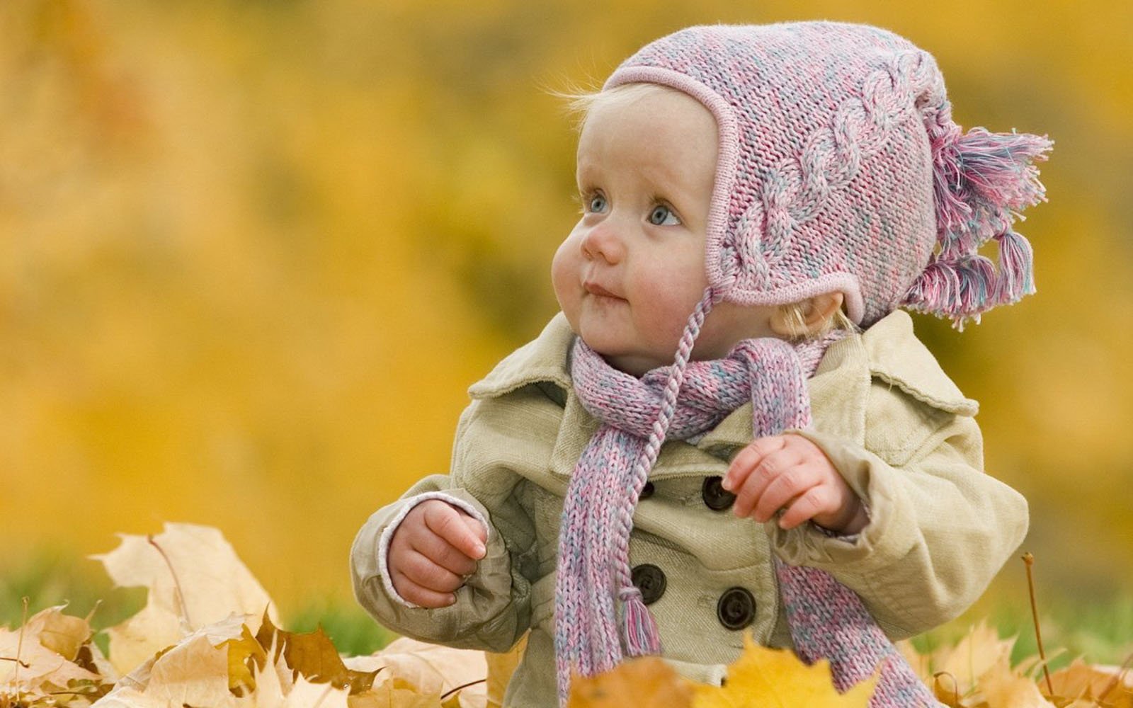 Cute Babies Hd Wallpaper