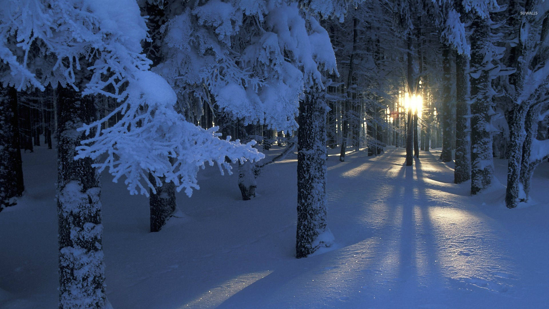 HD Winter Desktop Wallpaper