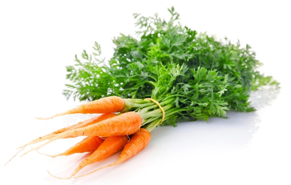 Wallpaper Vegetable Orange Carrots Image For Desktop