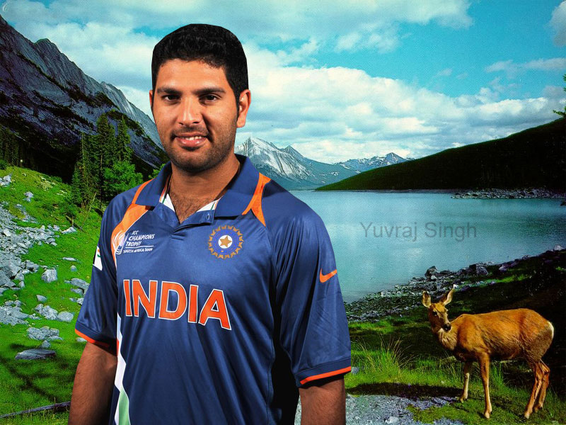 Yuvraj Singh All good things come to an end  The Economic Times