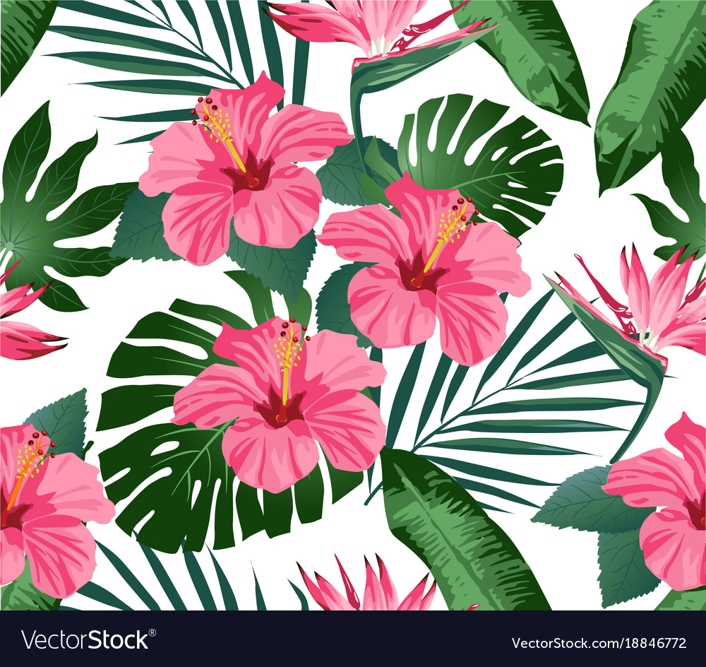 Tropical Flowers And Leaves On Background Vector Image