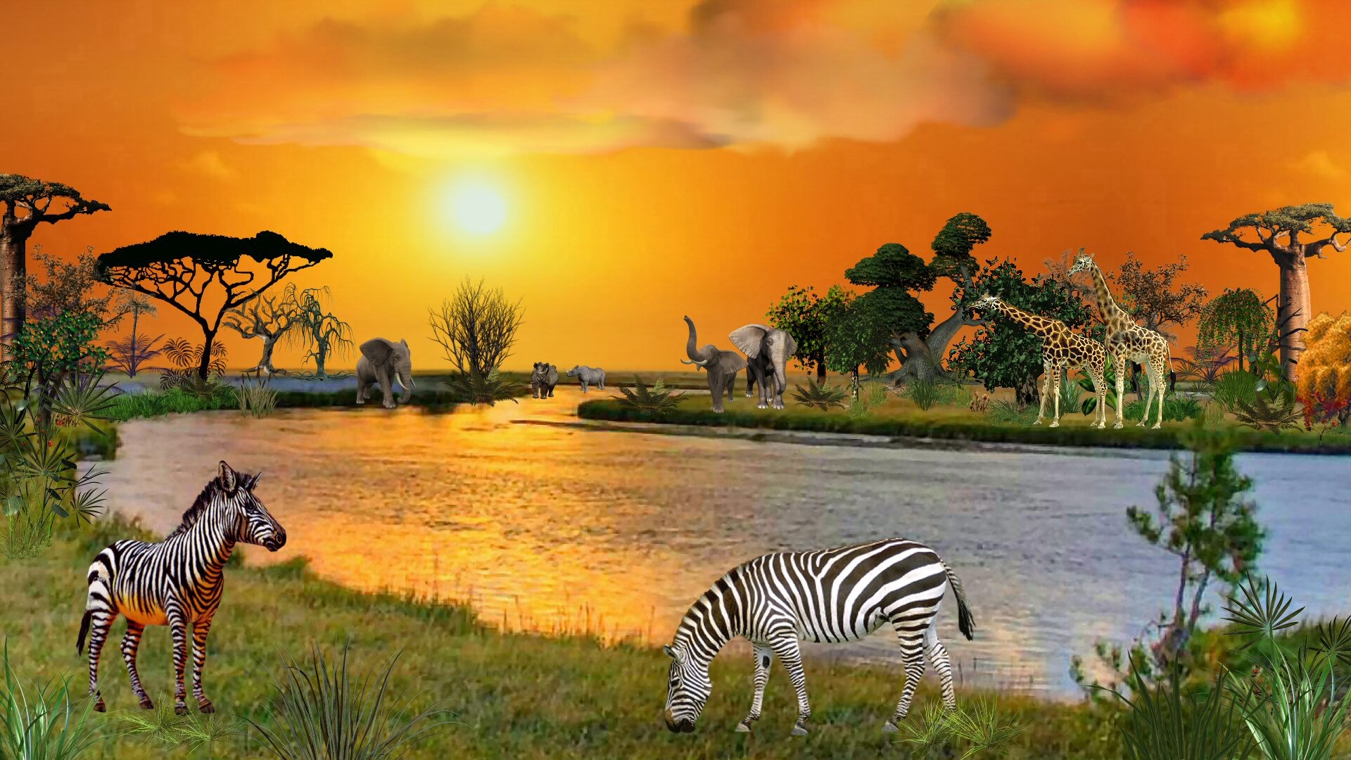 African Animals Wallpaper HD