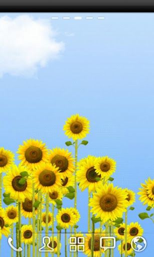 Free download Sunflowers Live Wallpaper for Android