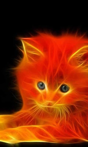 Neon Cat Live Wallpaper For Android By Gigi Labs Appszoom