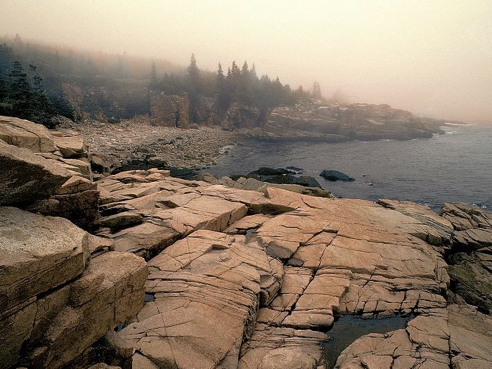 Landscapes Wallpaper Fog Laden Acadia National Park Maine