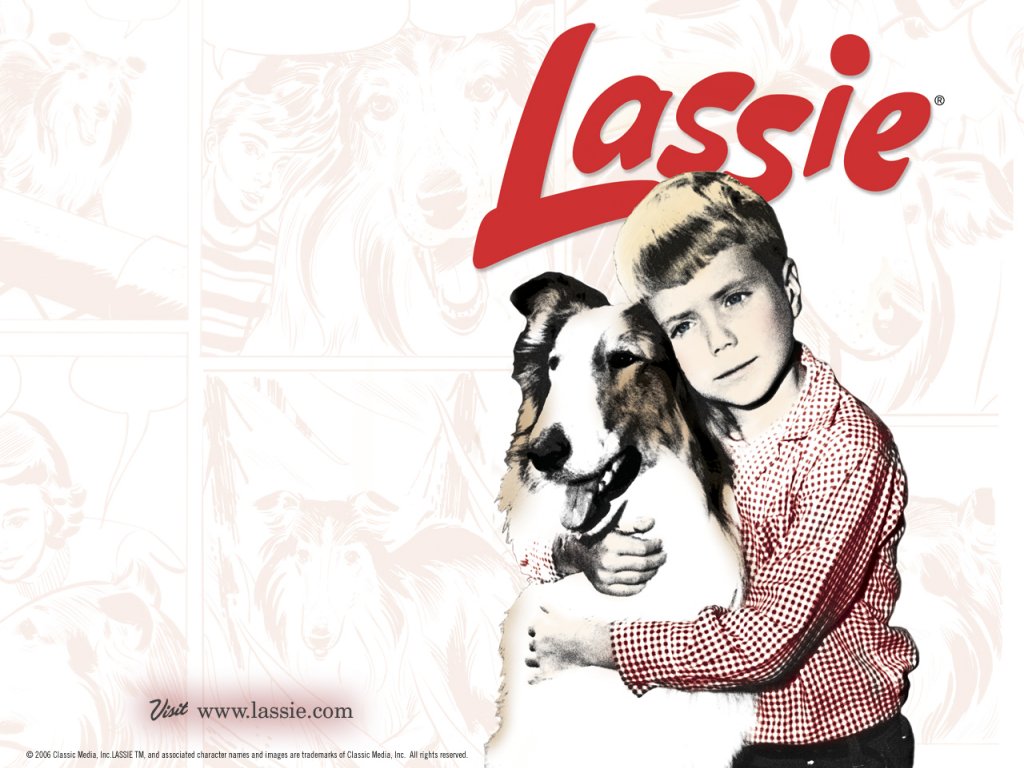 Classic Television Revisited Image Lassie W Paper HD Wallpaper