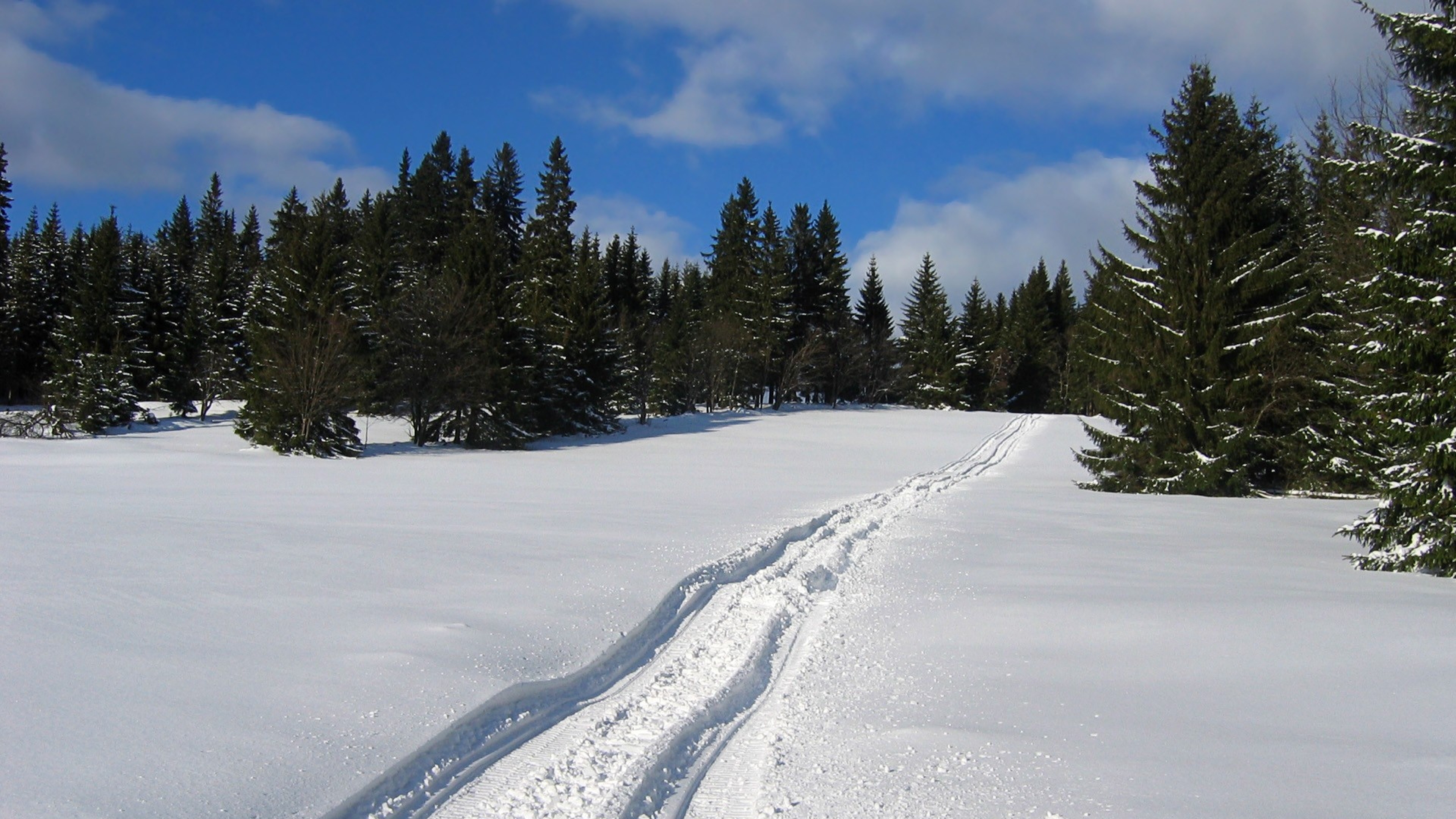 Wallpaper Snow Trail Winter 4k Ultra HD