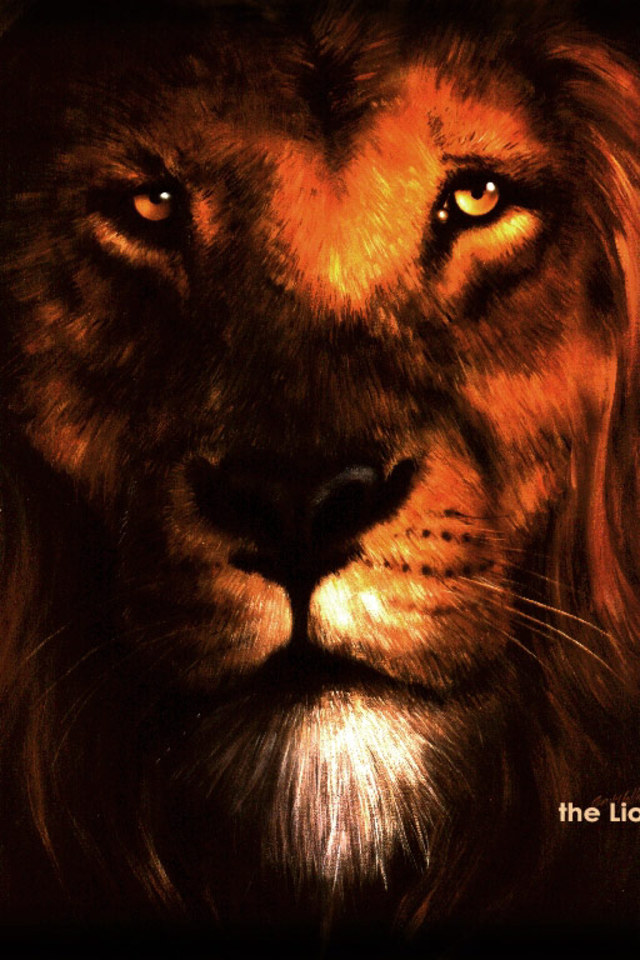 Lion Of Judah Wallpaper Image Search Results