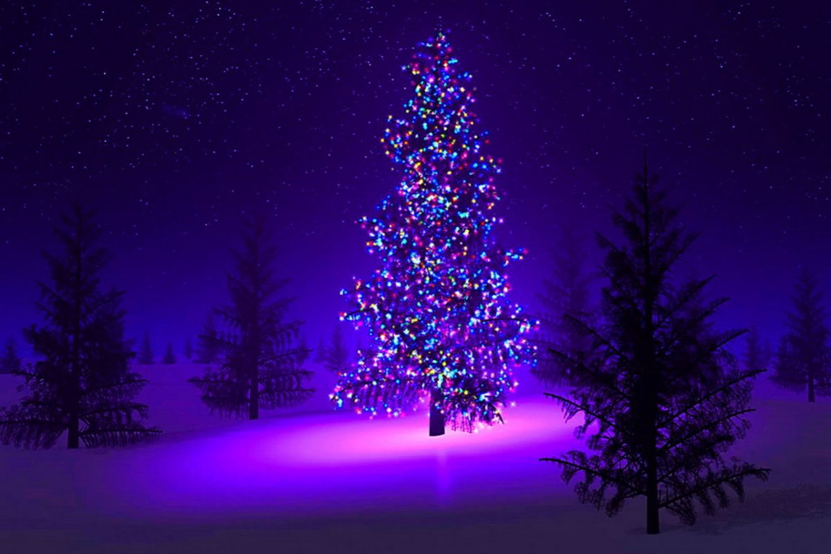 Arbol De Navidad Purple Christmas Tree Wallpaper Pictures