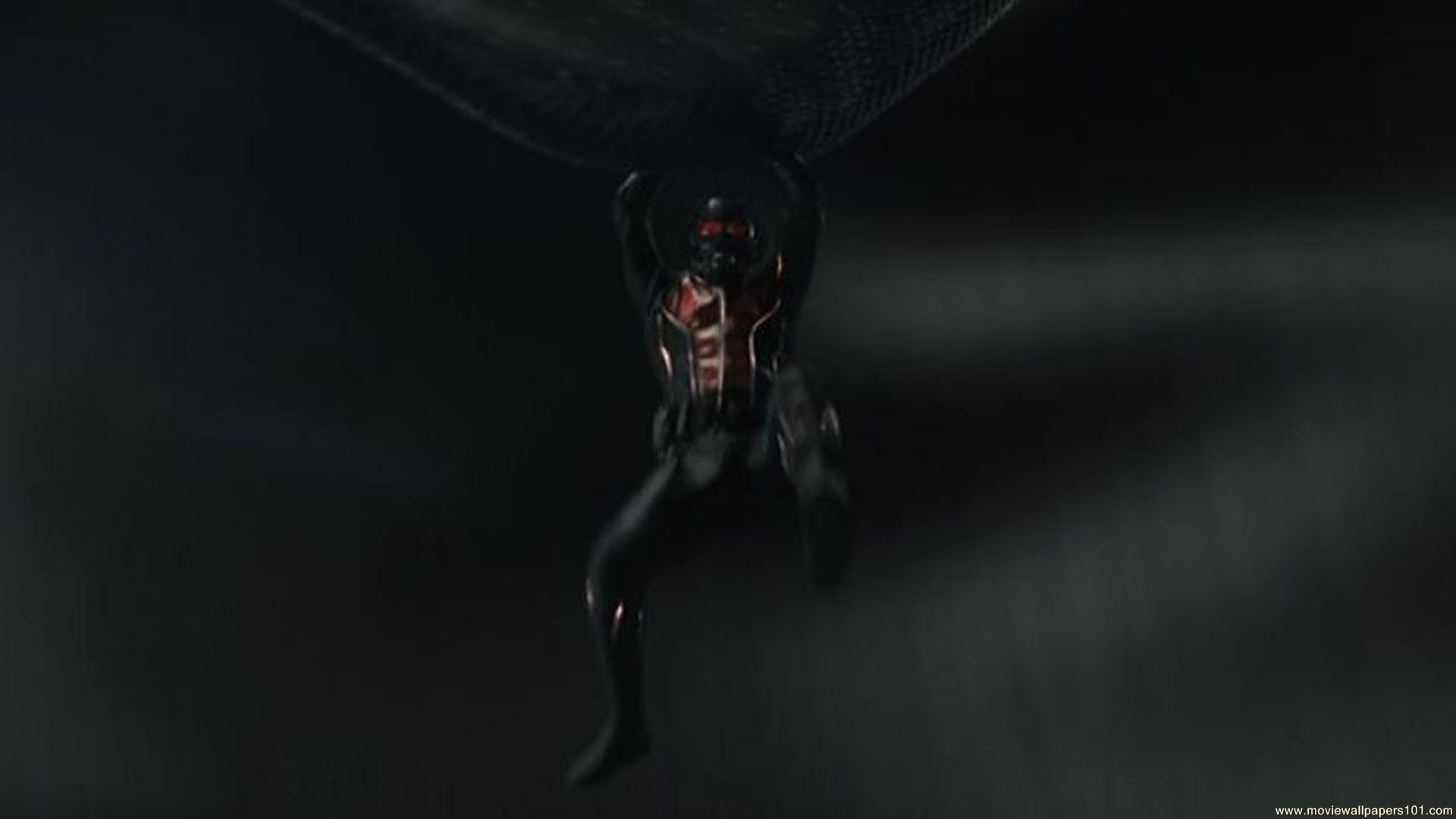 Ant Man 2015 Movie Trailer HD Wallpaper   Stylish HD Wallpapers