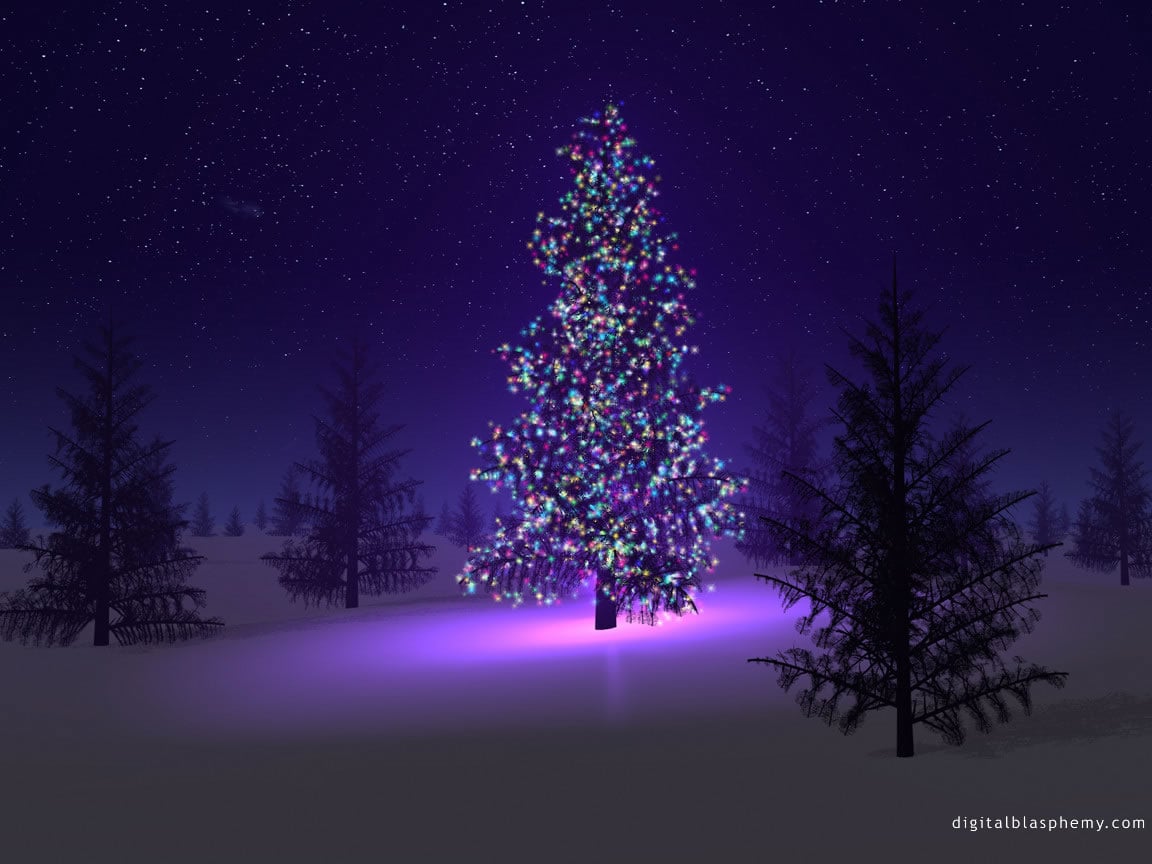 Wallpaper Backgrounds Beautiful Christmas Trees