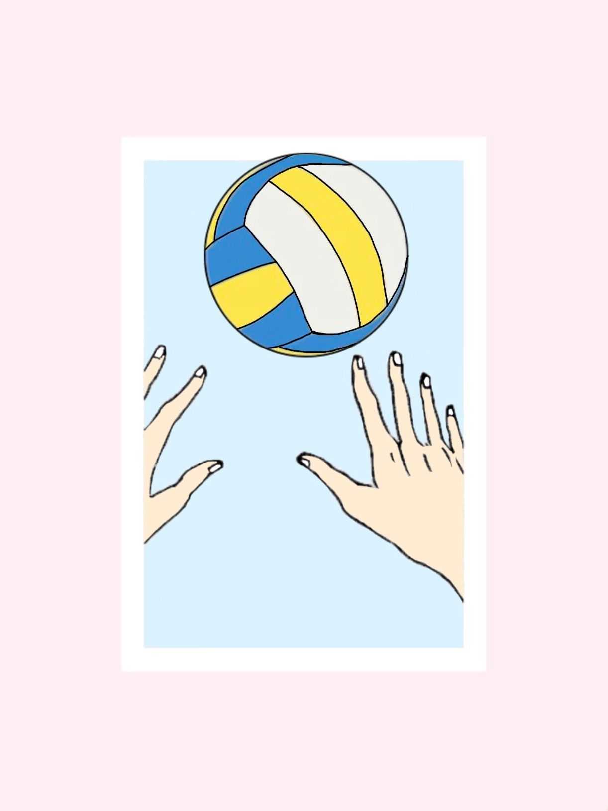 Download Celebrate summer with a game of volleyball Wallpaper  Wallpapers com