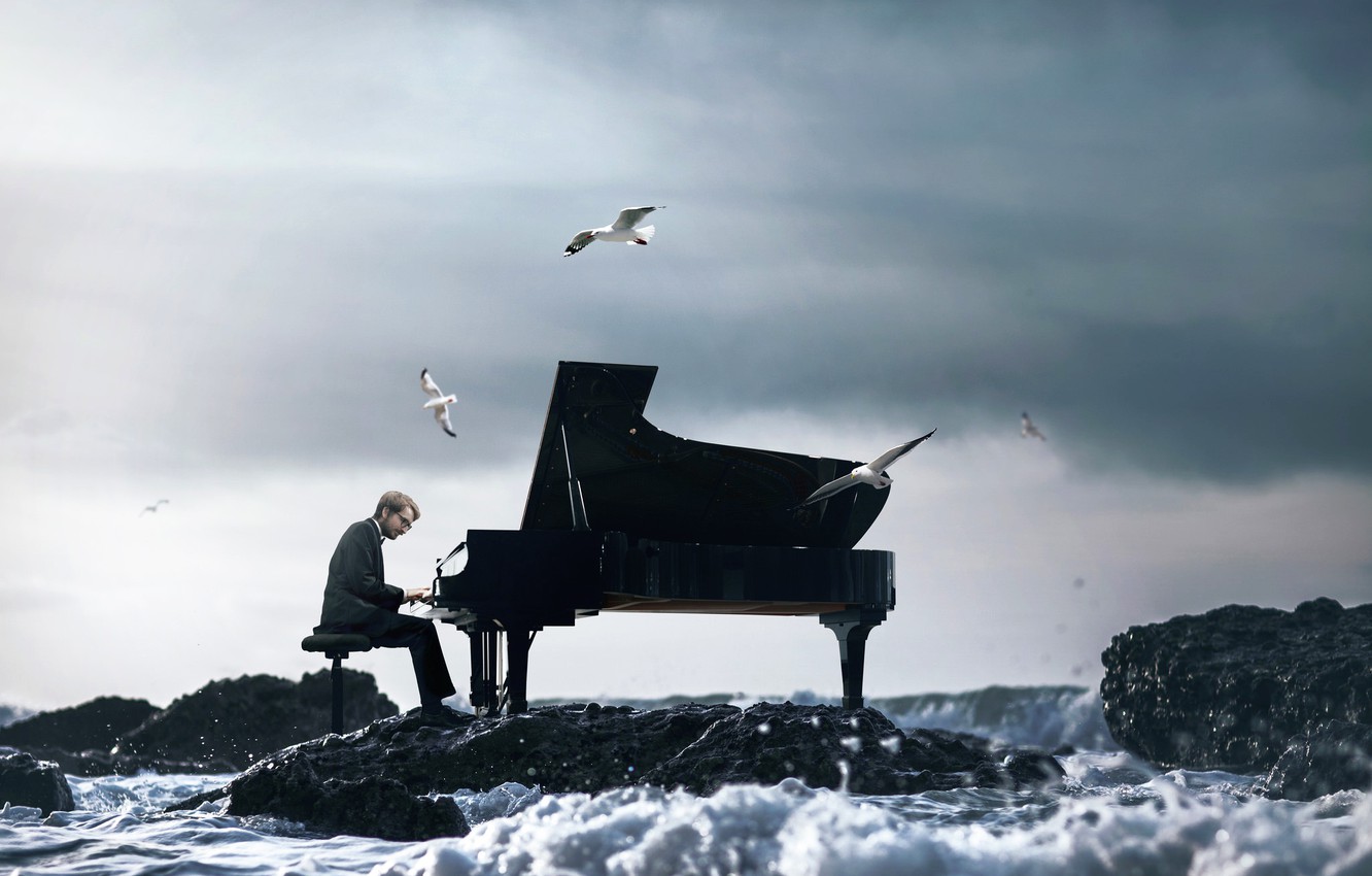 Wallpaper Wave Seagulls Piano Pianist Vincent Bourilhon The