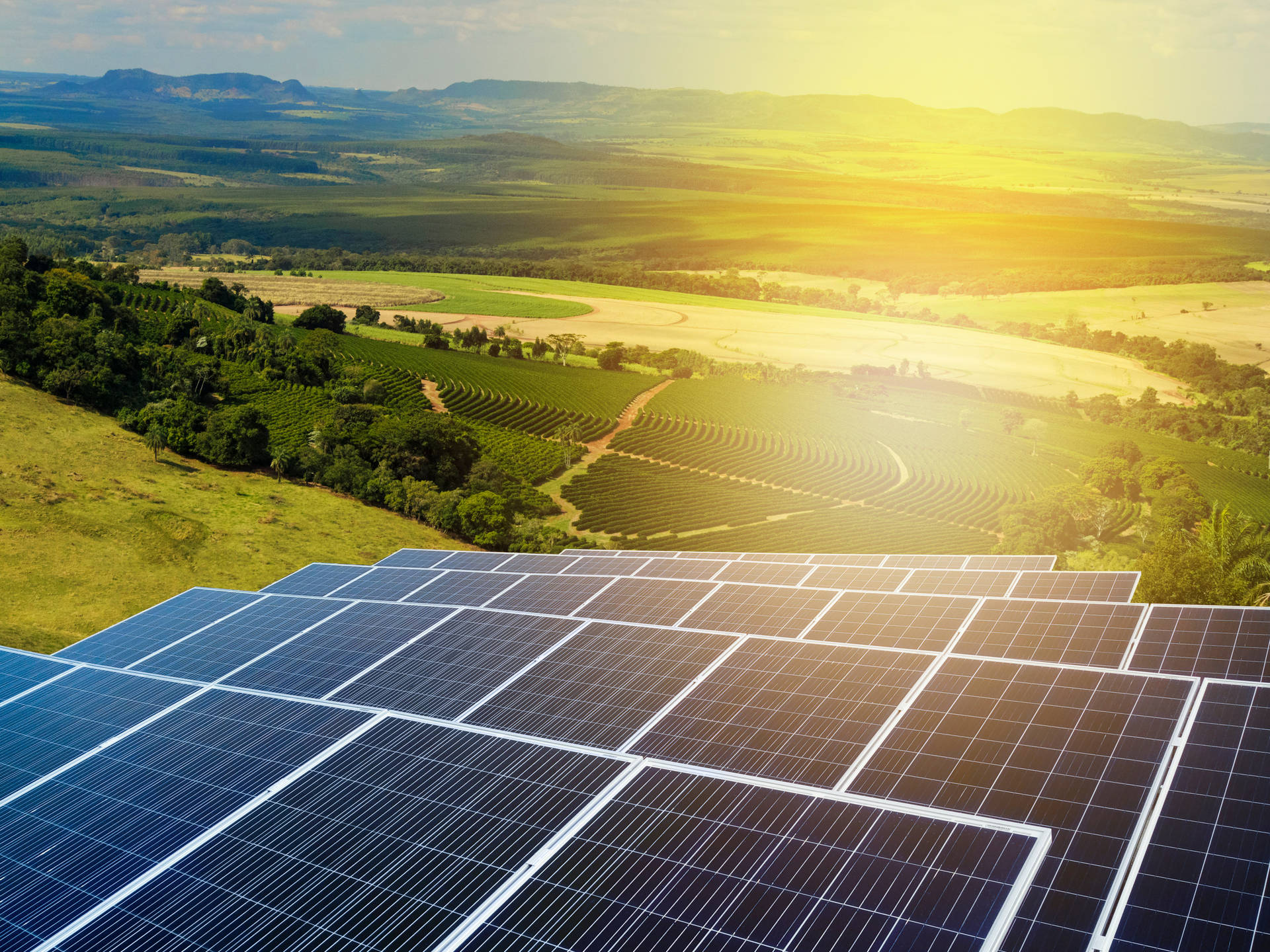 Solar Panel Wallpaper