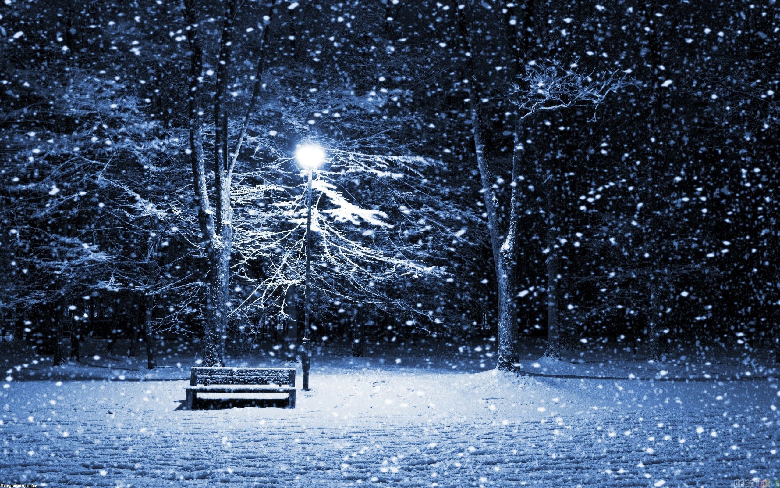 Night Snow Over The Park Beautiful Nature Landscapes Desktop