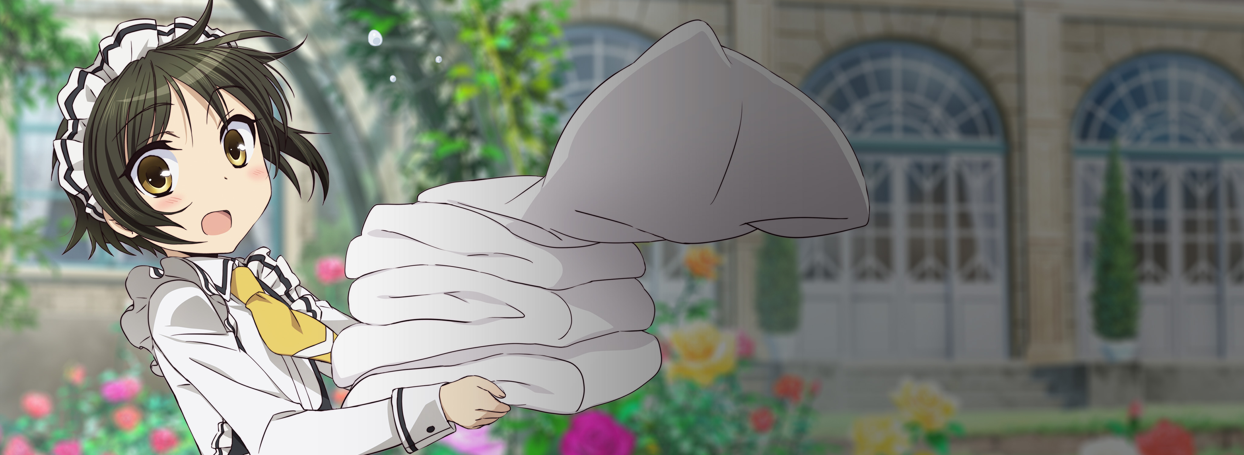 Shonen Maid HD Wallpaper Background Image