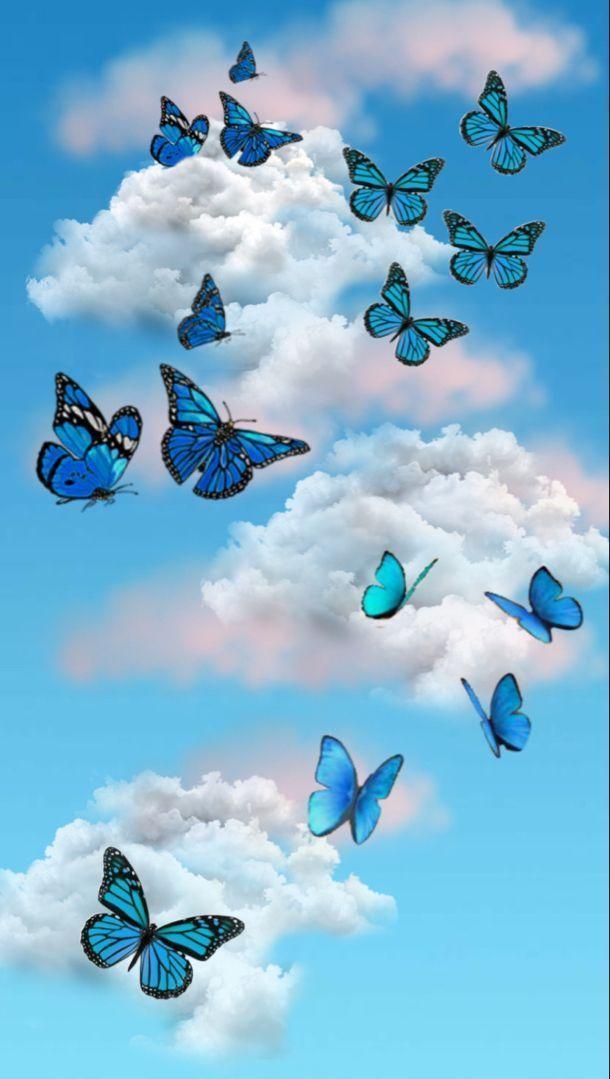 Most Beautiful And Stylish Butterfly Wallpaper Designs For Mobile