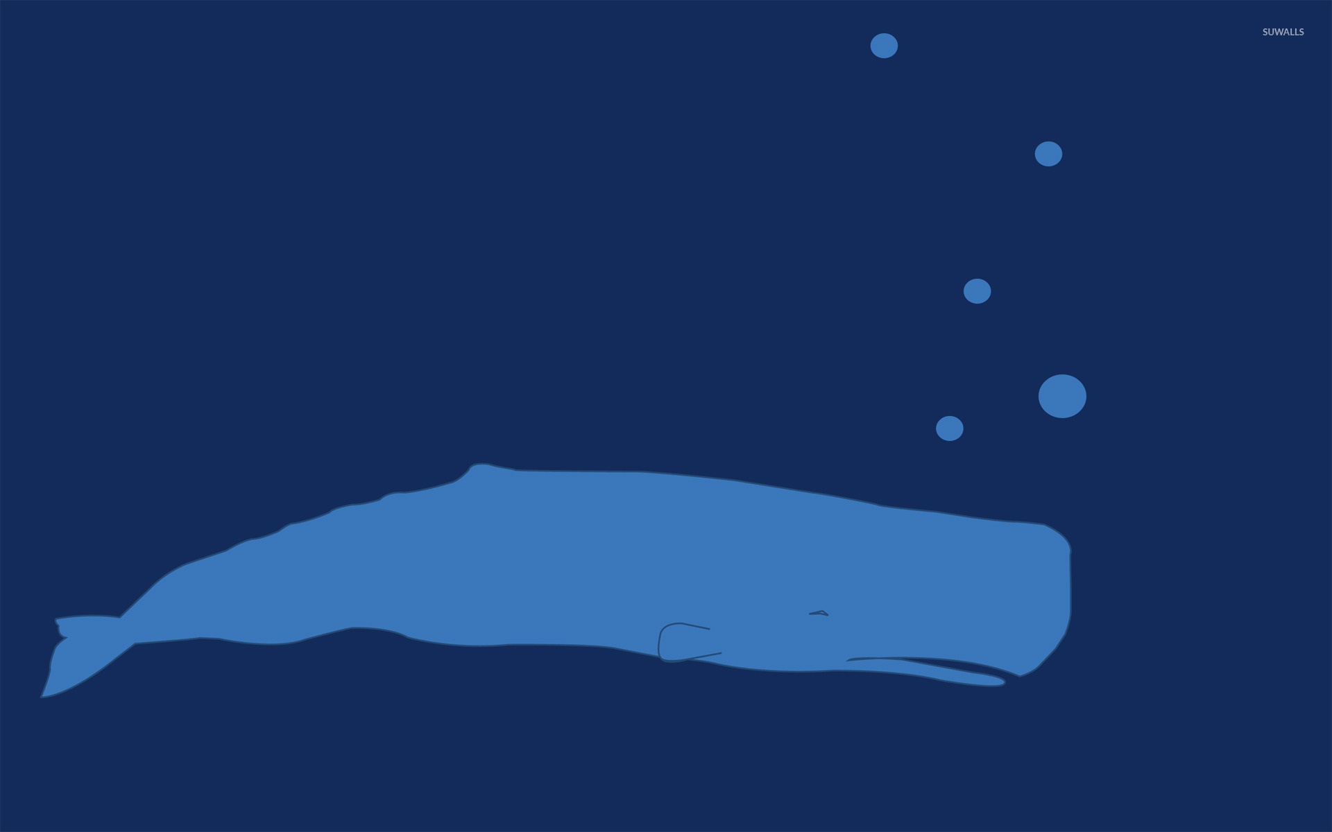 Blue Whale Wallpaper Minimalistic