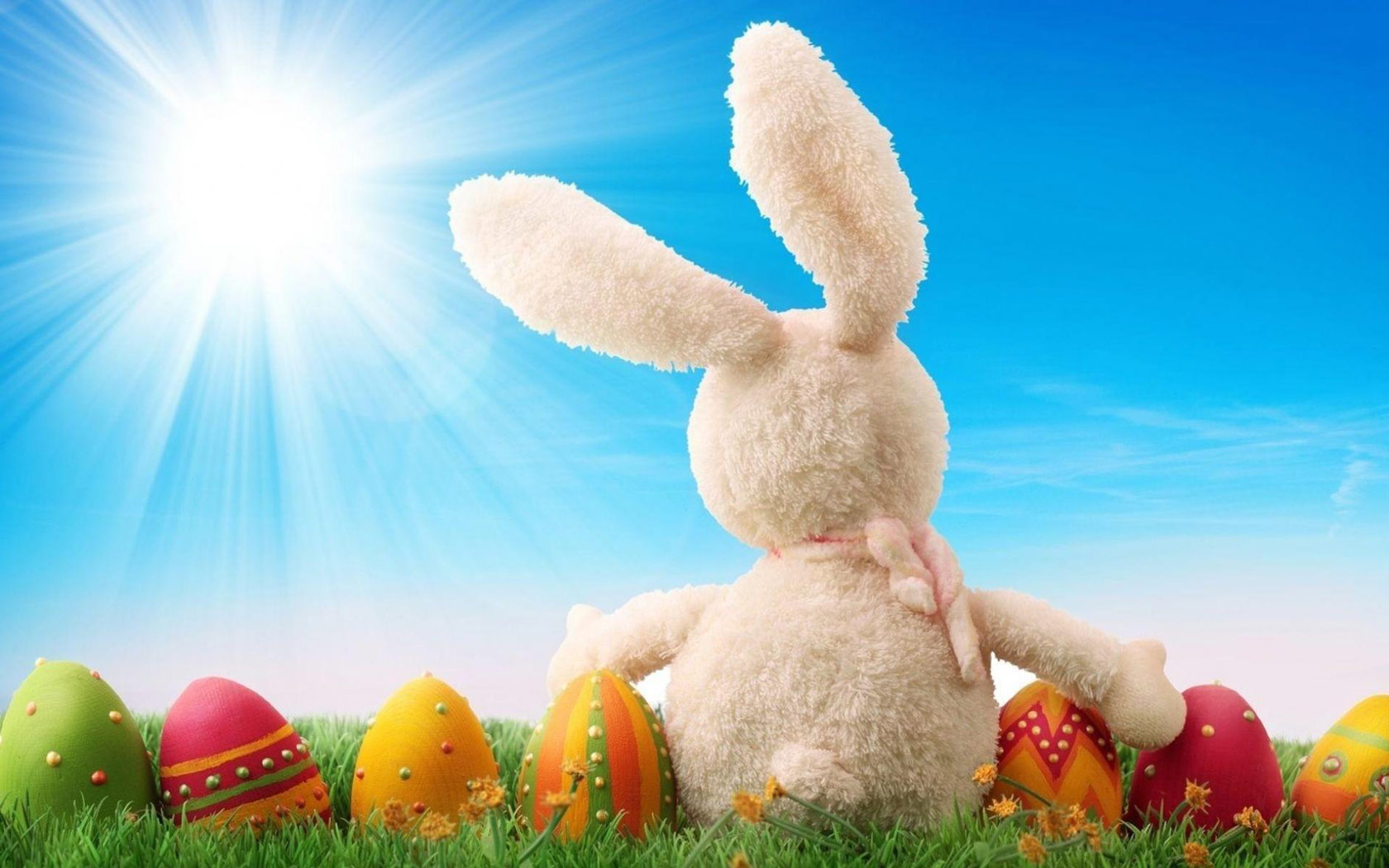 Cute Easter Rabbit Puter Desktop Wallpaper Pictures