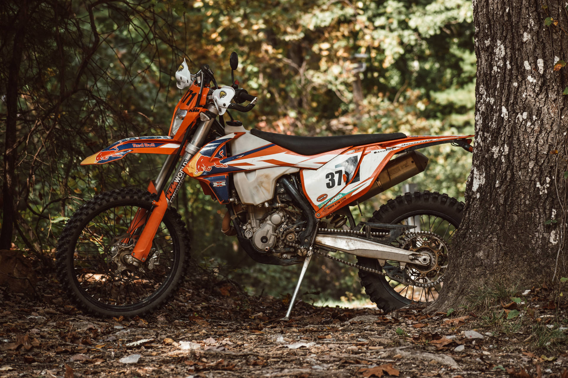 White Orange Duke Ktm Bike Wallpaper