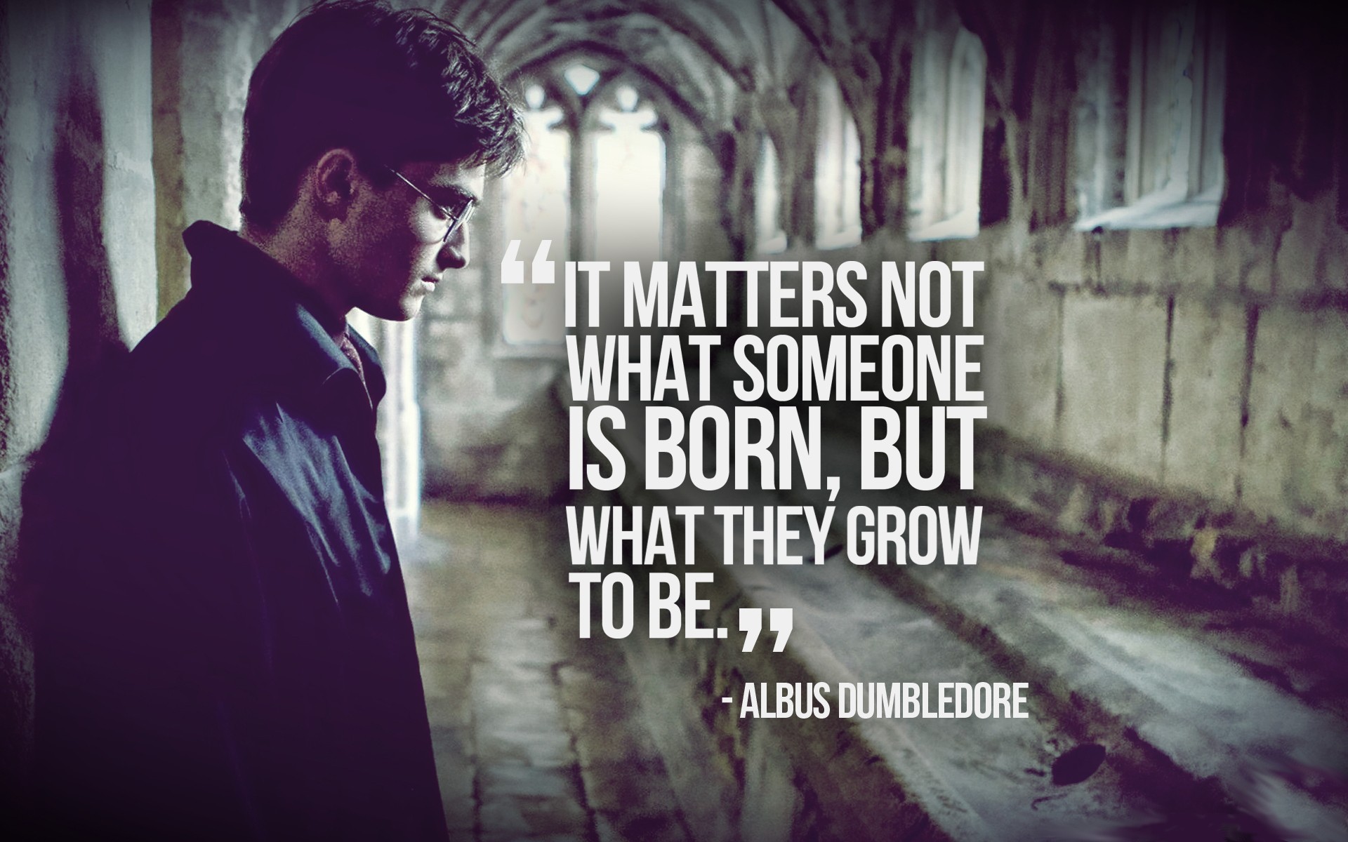 Quotes Harry Potter Philosophy Daniel Radcliffe Albus
