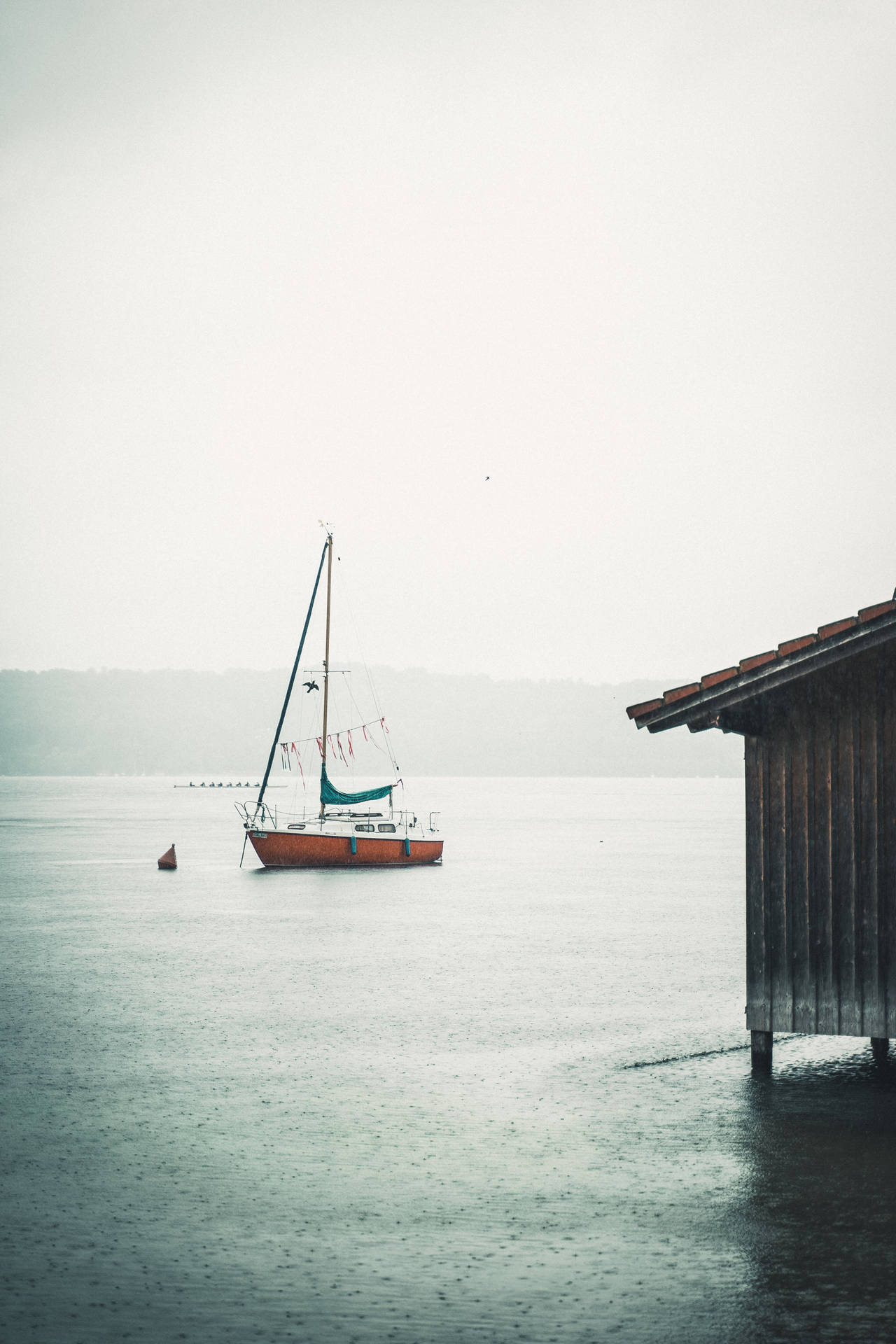 Sailing Wallpaper
