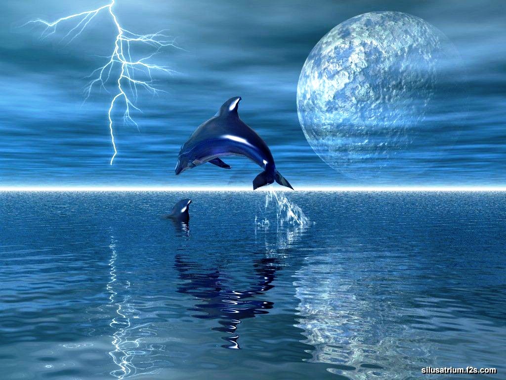 Dolphins Animated Background Hot HD Wallpaper