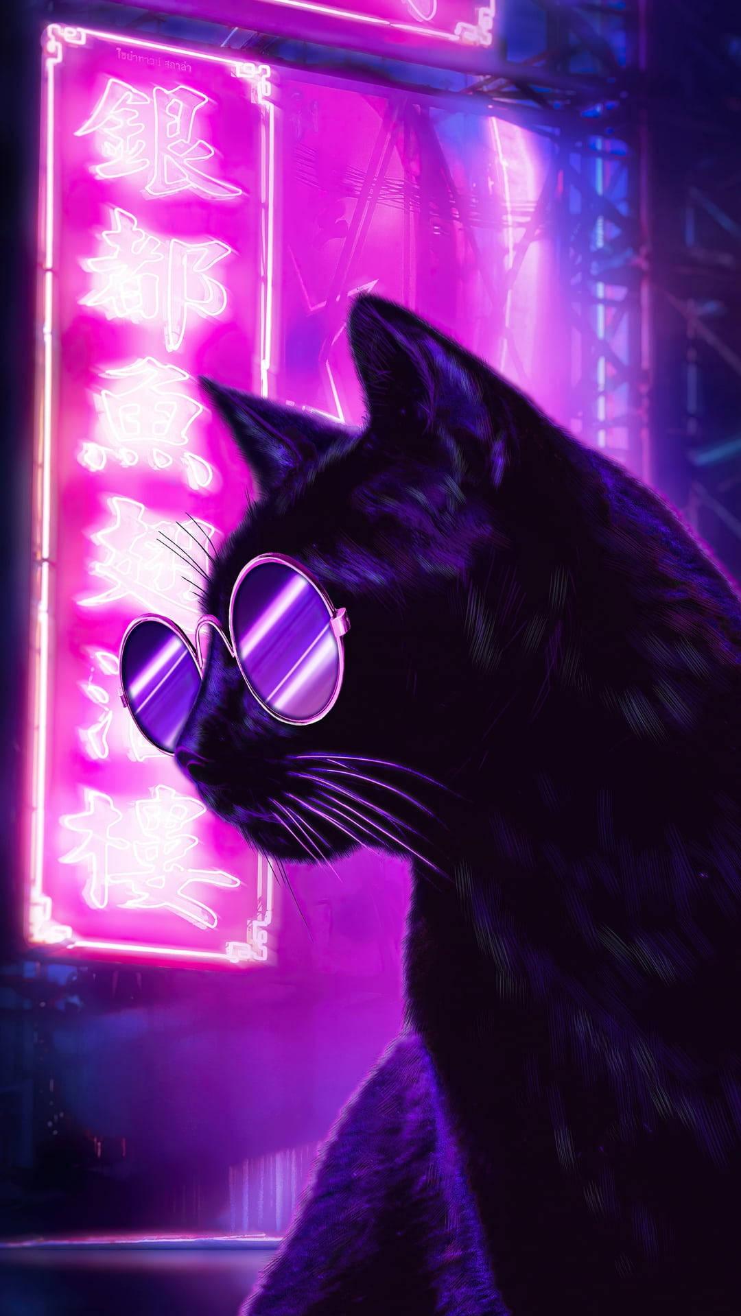 Cool Cat In Glasses Dark Purple iPhone Background