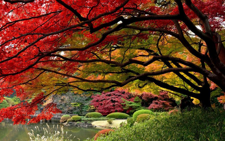 Beautiful Gardens In Japan Pixdaus