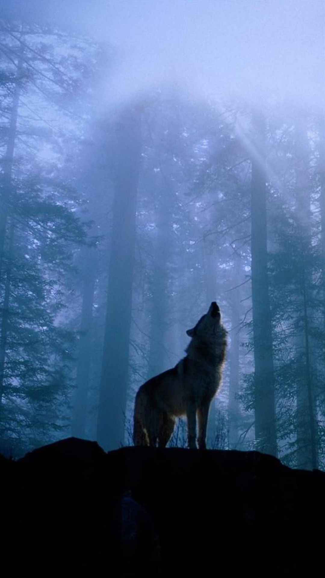 Foggy Forest Wolf Howl iPhone Wallpaper