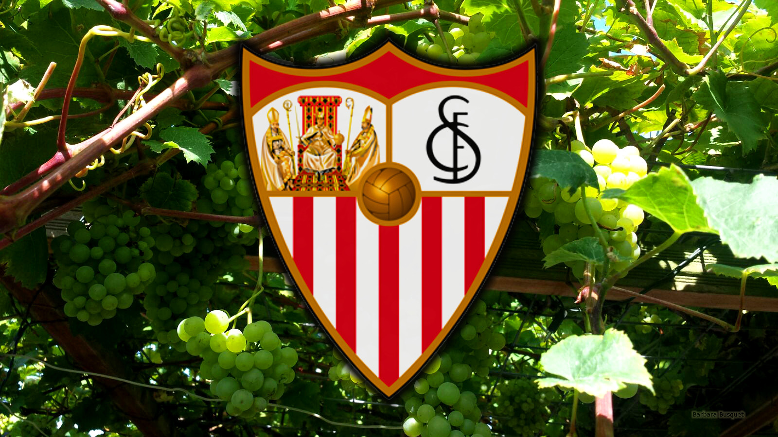 Sevilla F Tbol Club S A D Barbaras HD Wallpaper