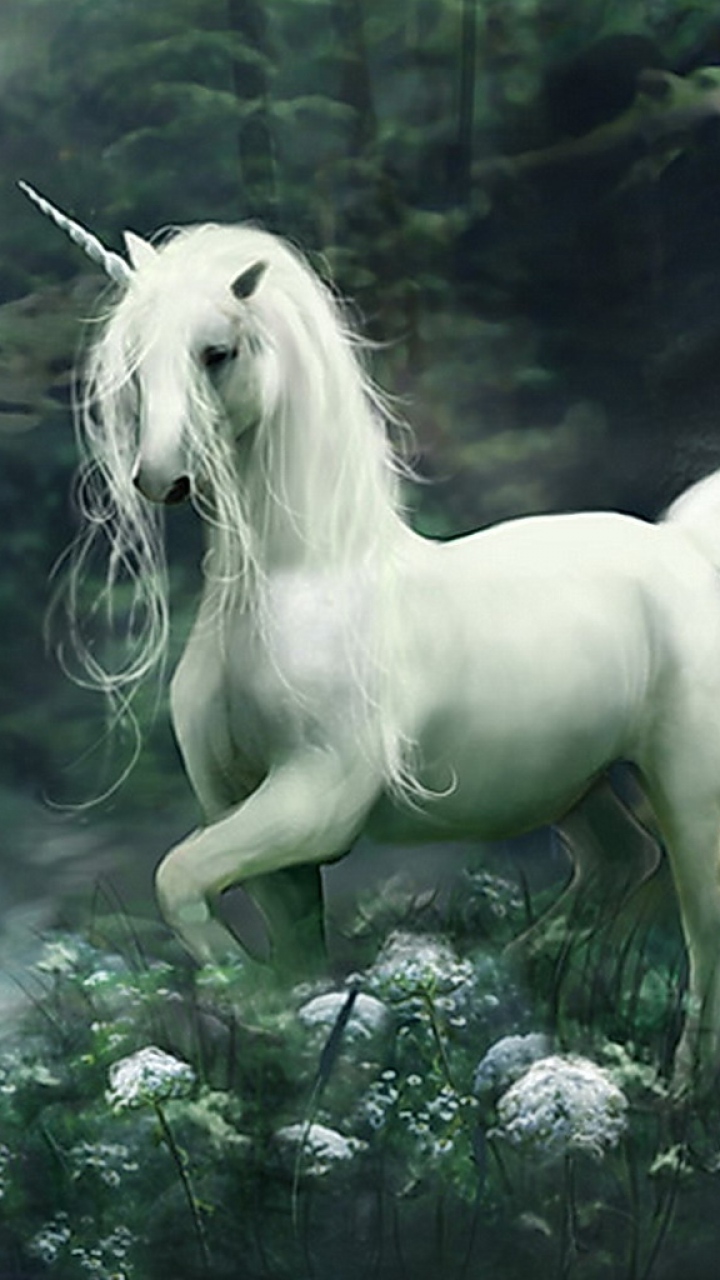 Wallpaper Unicorn Being Falls Grief Samsung Galaxy