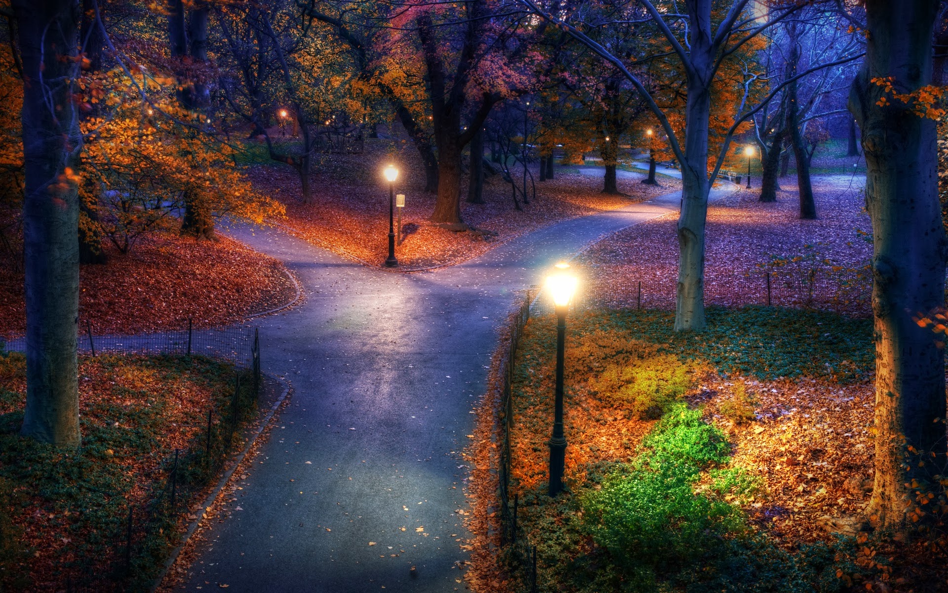 Home Landscape Others New York Central Park Wallpaper