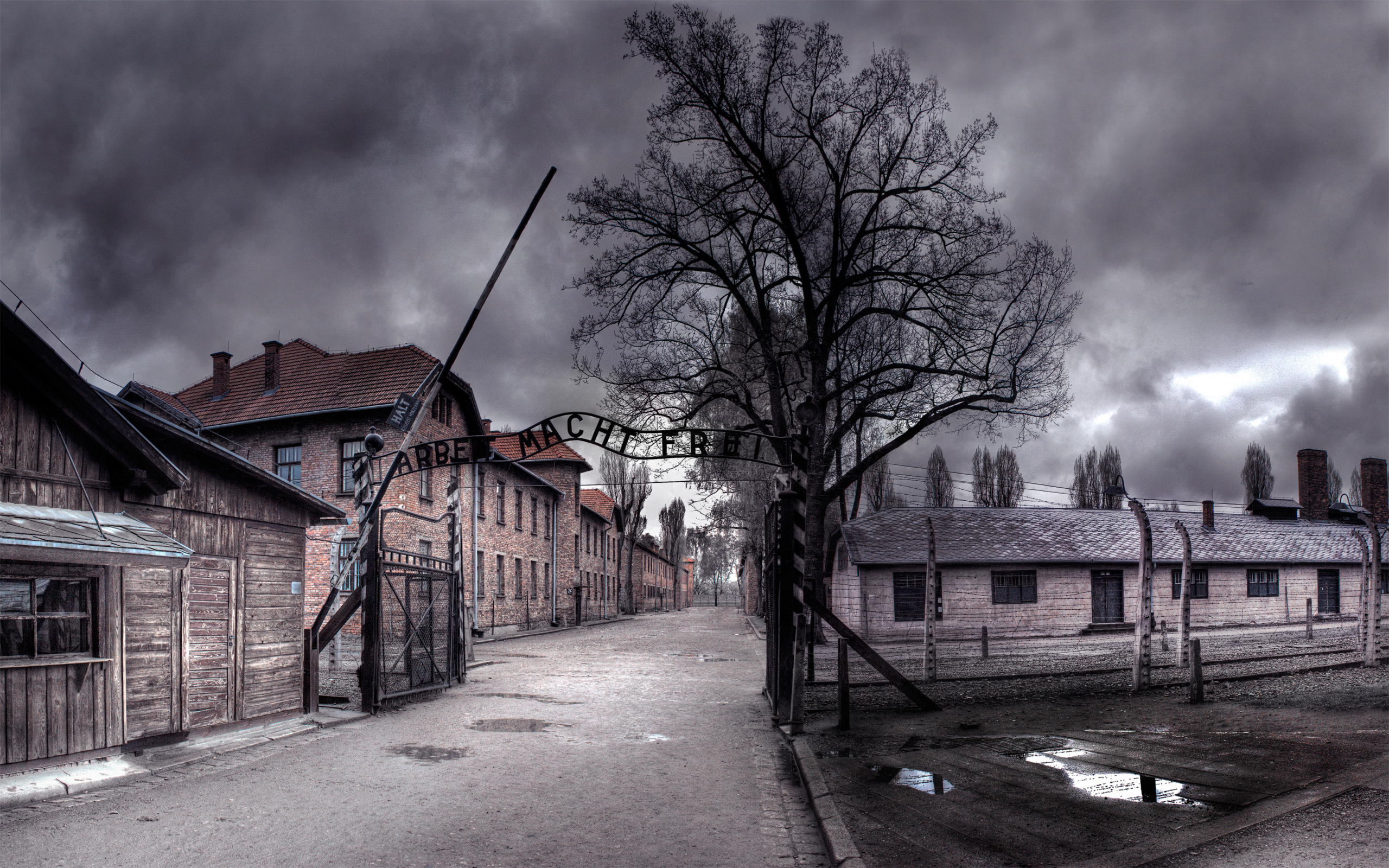 Concentration Camp HD Wallpaper Background Image