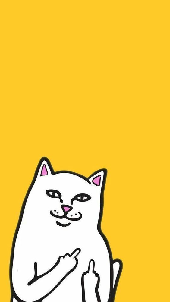 Abby Steiner On Painting Ripndip Wallpaper Hypebeast