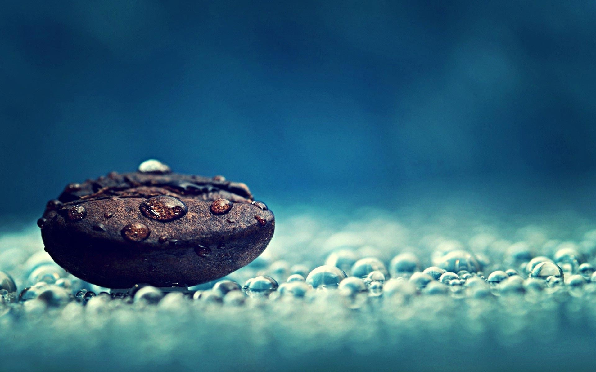 Water Drops On A Rock Wallpapers HD