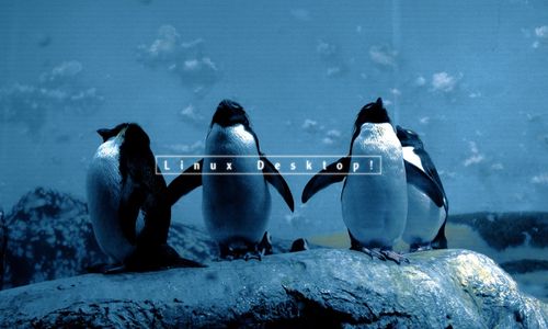 Linux Penguin For Nokia N900