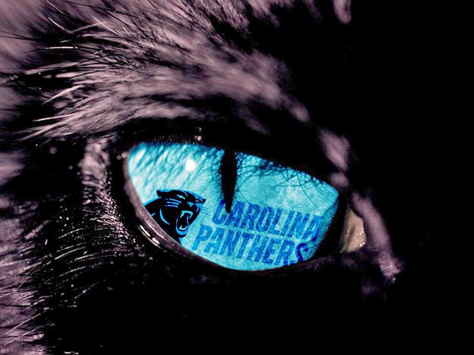 CarolinaPanthers by cleatgeekscom